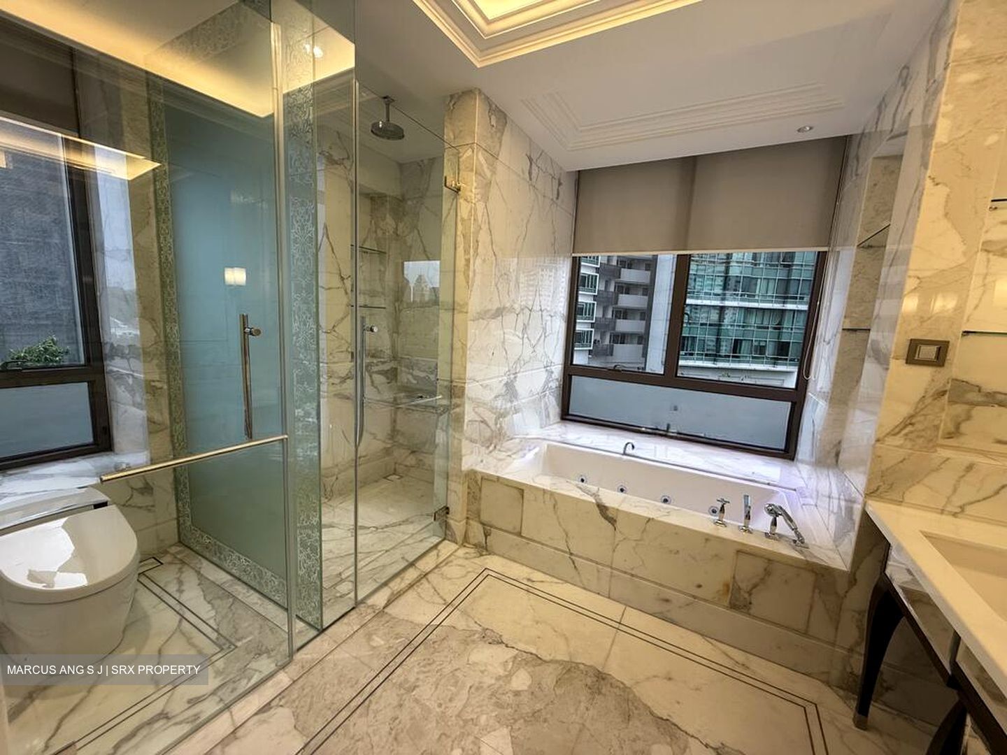 Parkview Eclat (D10), Condominium #510854171